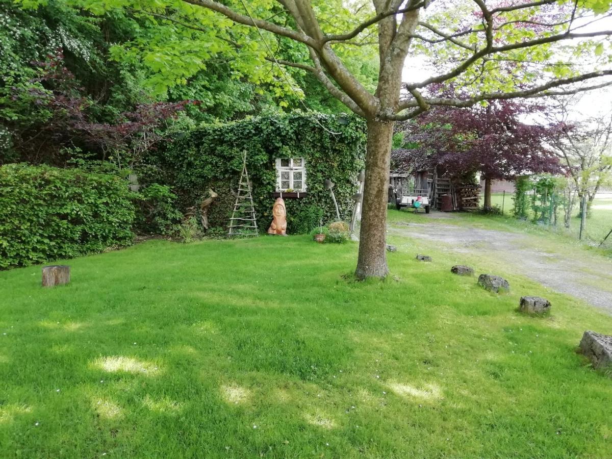 Ferienwohnung Zur Muhle Olsberg Eksteriør billede