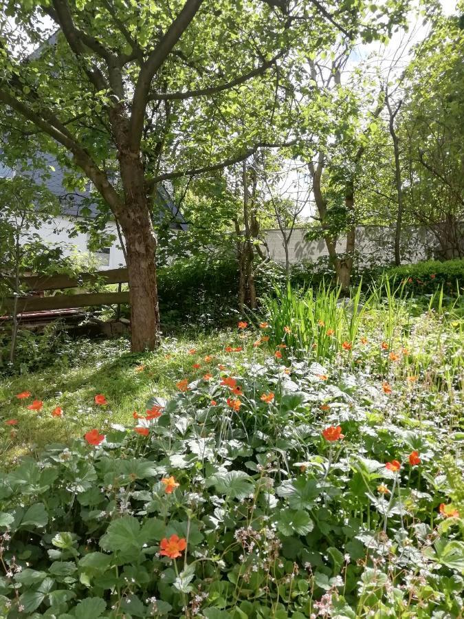 Ferienwohnung Zur Muhle Olsberg Eksteriør billede